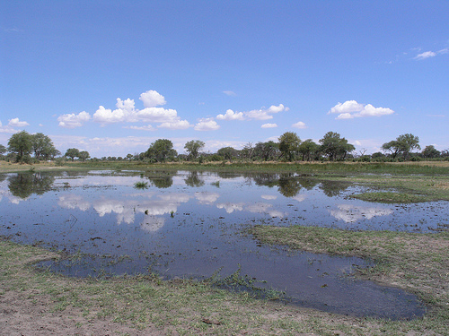 Moremi Wildlife Reserve